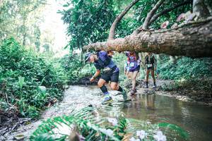 BIB: 
                            <button type="button" onclick="openModal(25447804)" class="btn btn-primary btn-sm float-right btn-popup" data-toggle="modal" data-target=".modal-high-quality">
                        <i class="fas fa-shopping-cart"></i> Add to Cart
                    </button>
                                            <button type="button" onclick="isThisMe(25447804, true)" class="btn btn-success btn-sm float-right btn-popup btn-isme hidden" data-toggle="tooltip" data-placement="bottom" title="นี่คือรูปของคุณใช่ไหม คลิกที่นี่เพื่อเอาเข้าอัลบั้ม">
                        <i class="fas fa-plus"></i> Add to album
                    </button>
                    <button type="button" onclick="isThisMe(25447804, false)" class="btn btn-warning btn-sm float-right btn-popup btn-isnotme hidden">
                        <i class="fas fa-ban"></i> Remove from album
                    </button>